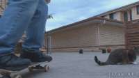 5794064.gif