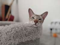 IMG20250625195431.jpg