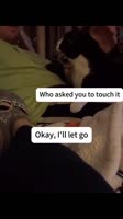39260834794257.mp4