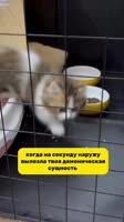 754321111.mp4