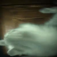 47890632362632.mp4