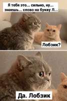 17355924586820.jpg