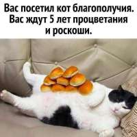 17025651131760.jpg