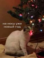 KUgbxT7XZjjAXlBmoEoxPaHa4kHv5JHa3Db9jfxUv-QCNkGSR-5EcCYRIEtiIjx26PW-XfHeGscTkqVEO85fvi.jpg
