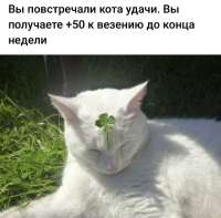 17344379315171.jpg