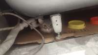 IMG-20250507-WA0025.jpg