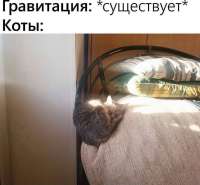 Screenshot17.png