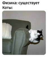 357932.jpg