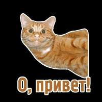 894783.png
