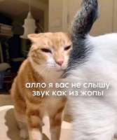 Screenshot11.png