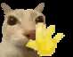 35974.gif