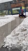 1751200000812.mp4