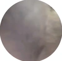 1751200719969.mp4