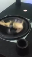 16274143318770.mp4