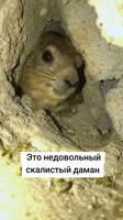 17281341662703417678ad758ea576x1024.mp4