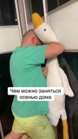 видеогифки-гифки-гусь--8640491.webm