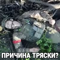 17489541473530.mp4