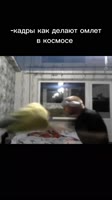 enS9nBRfSjJoiIhk.mp4