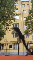 17511248162170.mp4