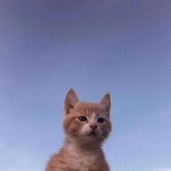 IMG7292.jpeg