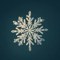Narimania - snowflake10.mp4