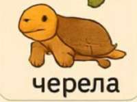 55.PNG