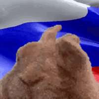 russia-russian.gif