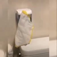 16135947114353.mp4