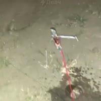 Запустил таракана.mp4