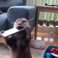 харек на саксофоне.mp4