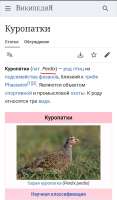 175158295461495712.jpg