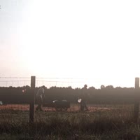 ㅤ.mp4