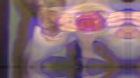 17407229263521.mp4