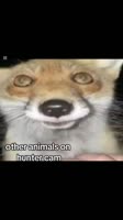 okeUePtIuDLLG7UQLI3SggA0JeKA6QVvGIj4IS.mp4