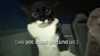 oYVFjYgFQQIFIZLViDhLbysIIhGgfIAhNAeTfY.mp4