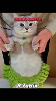 oAQmXxpfI0i6AyCMAZBxn0iNzqZGwA5IAkuFEC.mp4