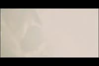 0b60a06e0adca15057230197648cb19b.mp4