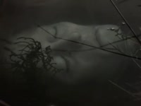 e0262d1e44602b47623f677f9328f86c.mp4