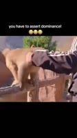 174825012840837357.mp4