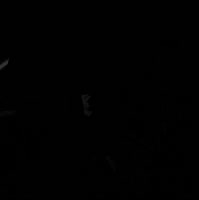 ow6LS7AIE4DASoHFfjCO1PftsGaDjIgKQNjBfZ.mp4