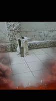 ocfhzZ4Ip6jzOEnIkCLPAhLGArkFsHE2ewwIeU.mp4