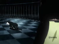 oU8MIjGffJcQuAvMeKBIfdigCNi7Az4eUV3Yg6.mp4