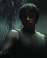 2992828221.mp4