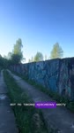 тарелочница свинота жрет за троих.mp4