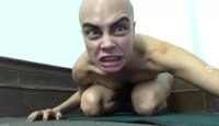 17279775390902.mp4