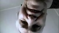 16314595032670.webm
