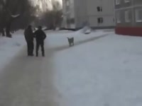 16782521492320.mp4