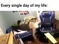 16828511842550.webm