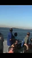 16884056228890.webm