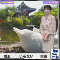 Стучим по попе.webm